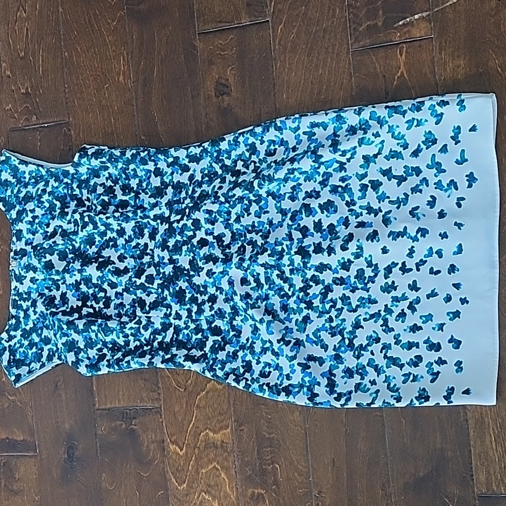 Ann Taylor dress